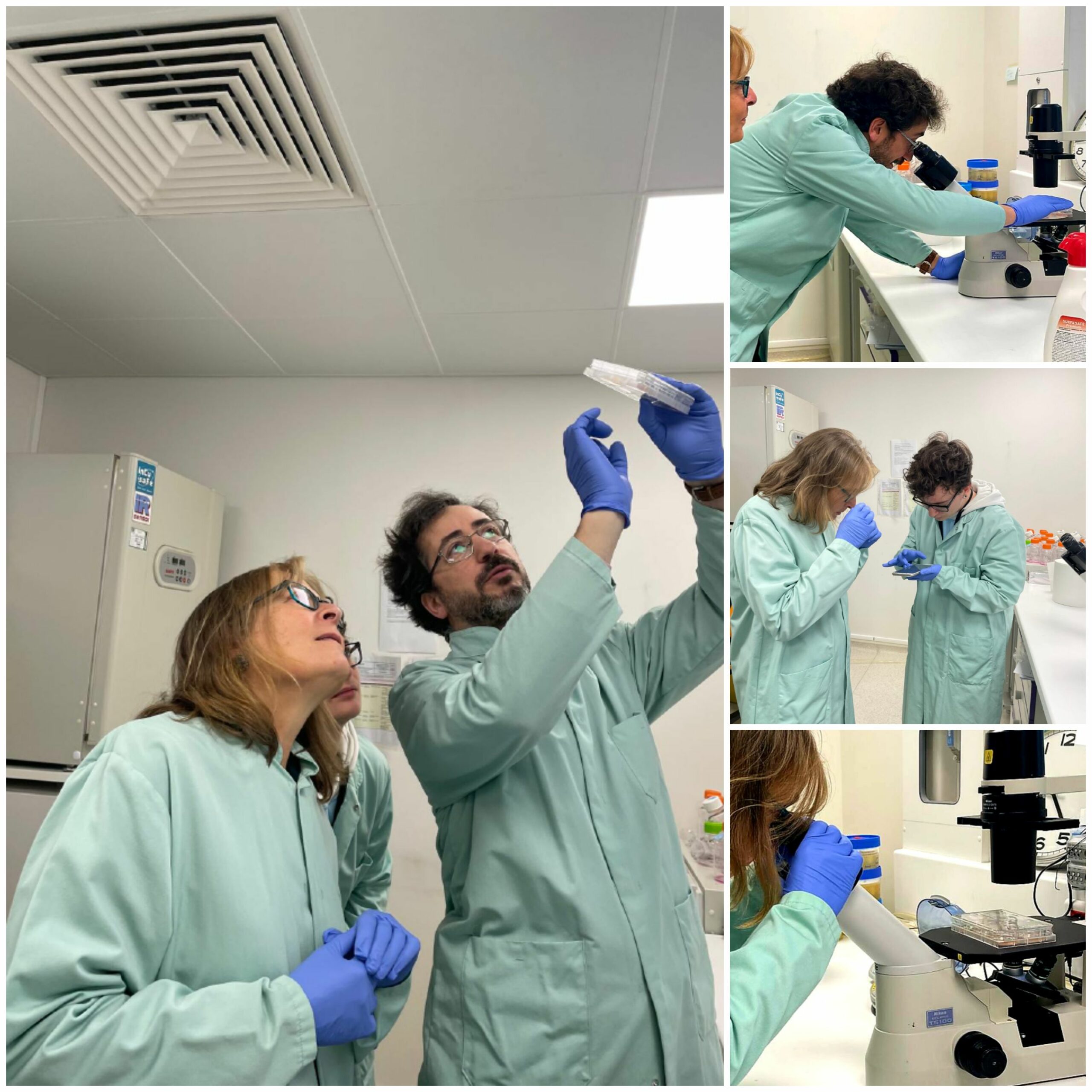 Visite Au Laboratoire De Recherche G n tique SCAD Info visite-au-laboratoire-de-recherche-g-n-tique-scad-info